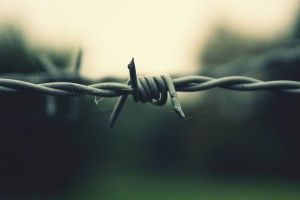 top Barb Wire Wallpaper 1920x1080 windows 7