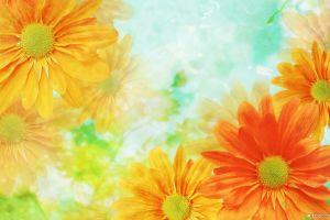 download flower backgrounds 1920x1200 for 4K