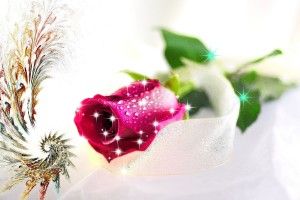 New Wallpaper Love 1920x1200 for iphone