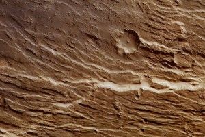 cool Soil Wallpapers 1920x1200