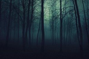 Dark Forest Wallpapers 1920x1080 for iPad 2