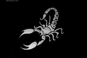 amazing Scorpion Wallpaper 1920x1080 for xiaomi