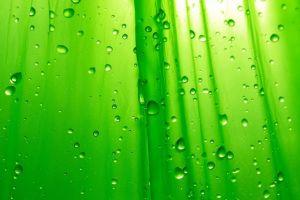 beautiful green background images 1920x1080 for pc