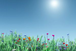 top Spring Background Pictures 1920x1200 hd 1080p