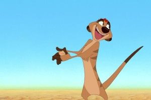 gorgerous Timon Wallpaper 1920x1080