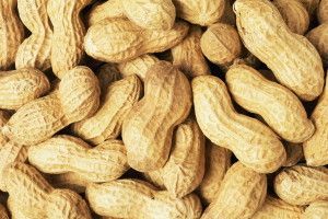 best Peanut Wallpapers 1920x1200 for computer
