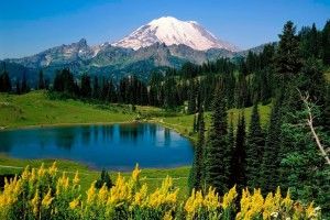 beautiful Scenery Desktop Backgrounds 2560x1600