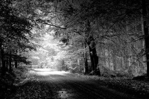 Black and White Computer Backgrounds 1920x1080 photo