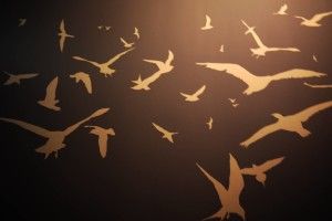 Bird Silhouette Wallpaper 2048x1536 for ios