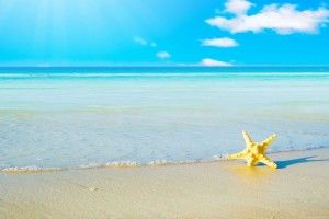 Summer Beach Background 1920x1200 for iPad