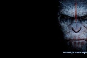Ape Wallpaper 1920x1080 lockscreen
