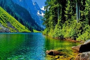 free Nature Wallpapers 1366x768 1920x1080