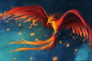 download Phoenix Bird Wallpaper 2560x1600 4K