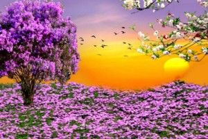 Desktop Wallpaper Spring Scenes 2560x1600 windows xp