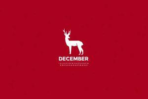december wallpaper 2560x1600 for android 5.0