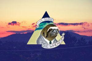 most popular sloth wallpaper 1920x1080