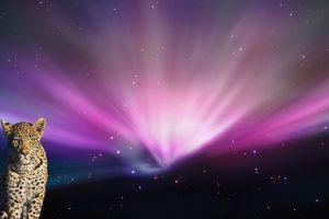 download screen backgrounds 2560x1600 image