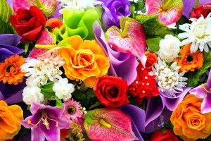 cool Colorful Flower Wallpaper 1920x1200 photos