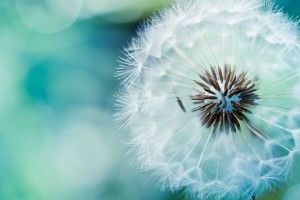 cool Pretty Backgrounds Pictures 1920x1200