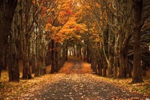 top HD Autumn Wallpaper 3840x2160