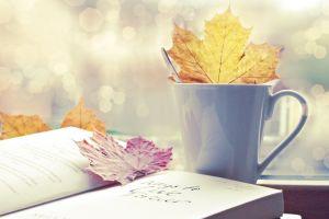 free download book wallpaper 1920x1200