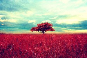 large Vintage Wallpaper HD 1920x1080