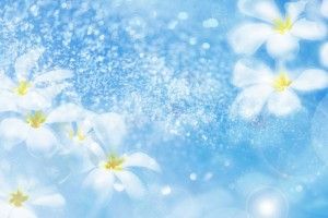 Farewell Backgrounds 1920x1200 for iphone 7