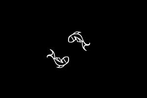 Pisces Wallpaper 2560x1600 HD for mobile