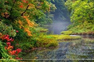 amazing Santabanta Nature Wallpaper HD 1920x1080 for phones