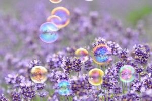 widescreen Spring Pics Wallpaper 1920x1200