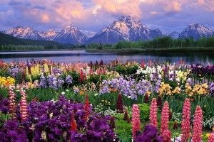 SprinGTIme Desktop Backgrounds 1920x1200 for windows
