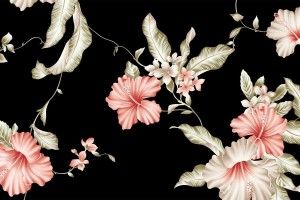 Black Floral Background Tumblr 1920x1200 ios