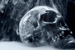 beautiful Skull Wallpaper 1920x1080 1920x1080