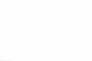White Screen Wallpaper 1920x1080 for iphone 7