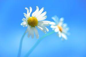 top windows desktop backgrounds 1920x1200 720p