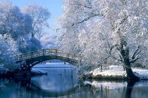 Wallpaper Nature Winter 1920x1080 cell phone