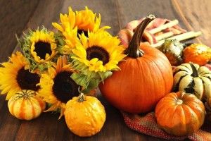download free Pumpkin Wallpaper Backgrounds 1920x1200 for 1080p