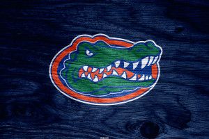 Florida Gators Wallpapers 3201x1800 download free