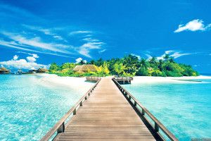 amazing Summer Wallpapers 2560x1440 macbook