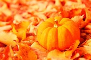 most popular Fall Pumpkin Wallpaper 1920x1080 for iPad