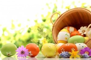 top Easter Egg Wallpaper Desktop 1920x1200