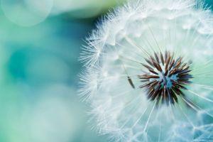 amazing desktop backgrounds 1920x1080 1920x1080 for ios