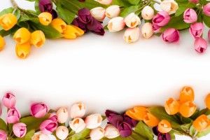 HD Wedding Backgrounds 2560x1600 retina