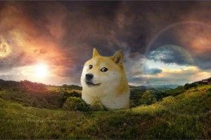 gorgerous Doge Wallpapers 3370x1909 iPhone