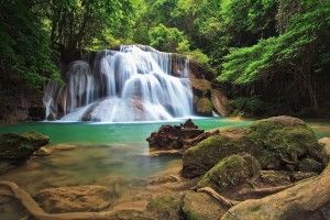 free Forest Waterfall Wallpaper 1920x1080 samsung