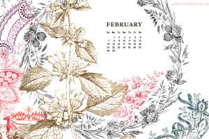 Desktop Wallpapers Calendar February 2018 2560x1440 for 1080p