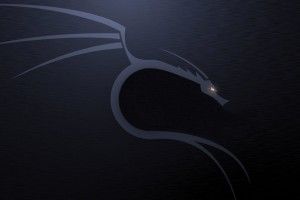 Backtrack Wallpaper 1920x1080 for samsung galaxy