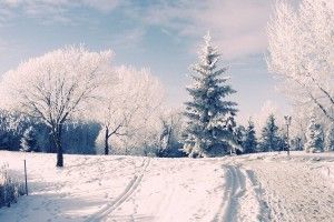 amazing Winter Wonderland Desktop Background 1920x1200