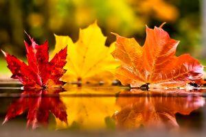 download november wallpaper 2048x1356
