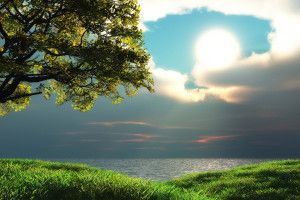 Latest Nature Wallpapers 2018 HD 1920x1080 samsung galaxy